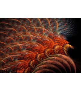 Red Feathers Wore Wall Mural Wall art Wall decor