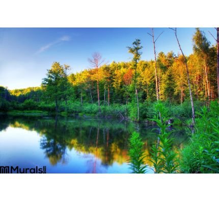 Beaver Pond Sunset Wall Mural Wall Tapestry tapestries