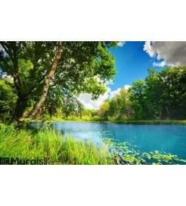Clean lake in green spring summer forest Wall Mural