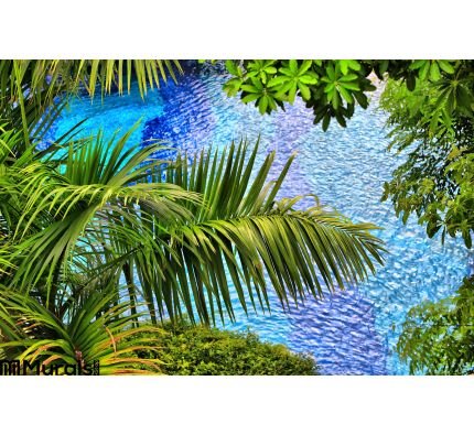 Background Palm Branches Wall Mural Wall art Wall decor