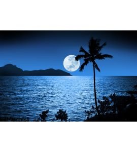 Ocean Night Moon Sky Tropical Wall Mural Wall art Wall decor