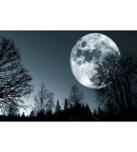 Big Moon Wall Mural Wall art Wall decor