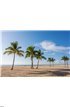 Beach with palms Wall Mural Wall art Wall decor