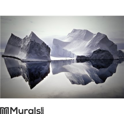 Icebergs Reflected in Still Waters Wall Mural Wall art Wall decor