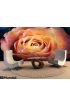 Red Orange Rose Flower Wall Mural Wall Tapestry tapestries