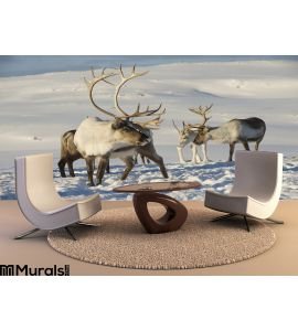 Reindeers Natural Environment Tromso Region Northern Norway Wall Mural Wall art Wall decor