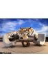 Tiger Looking Something Rock Wall Mural Wall Tapestry tapestries