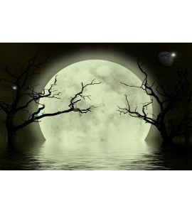 Moon Scary Fantasy Background Wall Mural