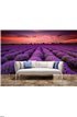 Lavender field at sunset Wall Mural Wall Tapestry tapestries