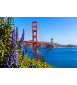 Golden Gate Bridge San Francisco Wall Mural