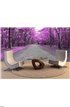 Forest road in autumn Wall Mural Wall Tapestry tapestries