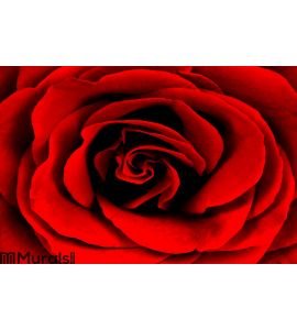 Rose Wall Mural Wall Tapestry tapestries