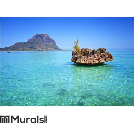 Mauritius Wall Mural Wall Tapestry tapestries