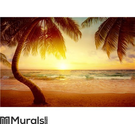 Art Beautiful sunrise over the tropical beach Wall Mural Wall Tapestry tapestries