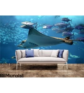 Detail of a manta ray swimming underwater Wall Mural Wall art Wall decor