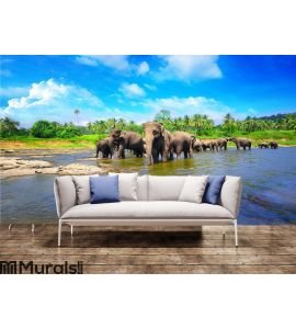 Elephant group in the river Wall Mural Wall art Wall decor