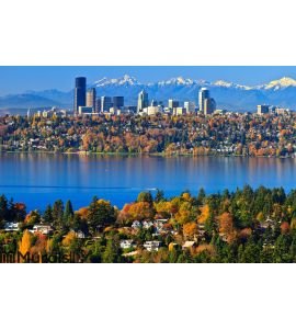 Gorgeous autumn scenery @ Bellevue Washington Wall Mural Wall art Wall decor