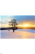 Winter landscape in snow nature Wall Mural Wall art Wall decor