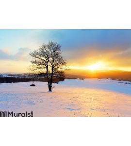 Winter landscape in snow nature Wall Mural