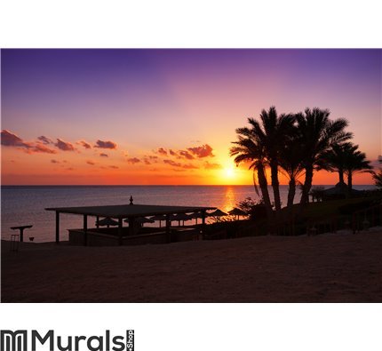 Sunset in Marsa Alam, Egypt Wall Mural Wall art Wall decor