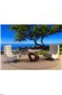 Beach Tree Vision Wall Mural Wall Tapestry tapestries