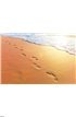 Beach, wave and footsteps at sunset time Wall Mural Wall art Wall decor