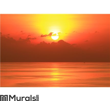 Beautiful Sun Set in The Middle of The Ocean Wall Mural Wall art Wall decor