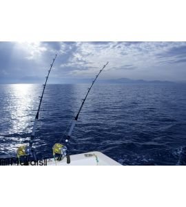 Fishing boat trolling with two rods and reels Wall Mural