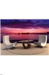 Golden Hour Sunset Wall Mural Wall Tapestry tapestries