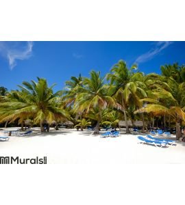 Paradise beach with palms and sunbeds Wall Mural
