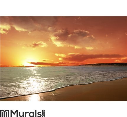 Red Sky in the Ocean Wall Mural Wall art Wall decor